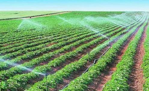 男女啊啊啊的视频农田高 效节水灌溉